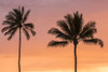 USA, Hawaii, Kauai, Lawai. Palm trees at sunset. Poster Print by Jaynes Gallery - Item # VARPDDUS12BJY0254