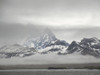 Bay of Isles with Salisbury Plain on South Georgia. Poster Print by Martin Zwick - Item # VARPDDAN02MZW0642