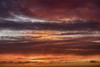 Colorful sunset, New Smyrna Beach, Florida, USA Poster Print by Lisa Engelbrecht - Item # VARPDDUS10LEN1053