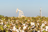 USA, Texas. Martin County, Pumpjack on cotton field Poster Print by Alison Jones - Item # VARPDDUS44AJN0008