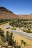 Ziz Valley, Morocco. Ziz Valley Gorge and palm trees Poster Print by Jolly Sienda - Item # VARPDDAF29JSI0118