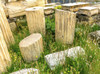 Temple of Augustus Rome, Acropolis, Athens, Greece.  Poster Print by William Perry - Item # VARPDDEU12WPE0001