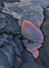 Lava flow from Kapa'ahu, Kalapana, Big Island, Hawaii Poster Print by Maresa Pryor - Item # VARPDDUS12MPR0057