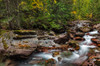 Avalanche Creek in Glacier National Park, Montana, USA Poster Print by Chuck Haney (24 x 18) # US27CHA4285