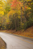 USA, Tennesse. Fall foliage along road to Cades Cove. Poster Print by Joanne Wells - Item # VARPDDUS43JWL0197