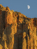 Utah, Zion National Park, Moon over The Watchman Poster Print by Jamie & Judy Wild - Item # VARPDDUS45JWI1024