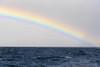 Australia, Tasmania, Maria Island. Rainbow in Tasman Sea Poster Print by Trish Drury - Item # VARPDDAU01TDR0248