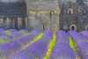 France, Provence. Lavender field and Senanque Abbey.  Poster Print by Jaynes Gallery - Item # VARPDDEU09BJY0049
