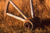 Part of an old wagon wheel, Bodie, California Poster Print by Zandria Muench Beraldo (24 x 18) # US05ZMU1117