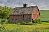 Barn near Colfax with wheat fields, Eastern Washington Poster Print by Darrell Gulin (24 x 18) # US48DGU1640