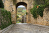 Italy, Monteriggioni. Arched exit-way through city walls Poster Print by Emily Wilson - Item # VARPDDEU16EWI0304