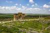 Volubilis, Morocco. Ancient Roman city, Arch of Caracalla Poster Print by Jolly Sienda - Item # VARPDDAF29JSI0025