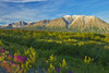 Canada, Yukon. St. Elias Mountains and forested valley. Poster Print by Jaynes Gallery - Item # VARPDDCN12BJY0085
