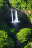 Wailua Falls, Wailua River State Park, Kauai, Hawaii, USA. Poster Print by Russ Bishop - Item # VARPDDUS12RBS0538