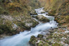 Slovenia, Vintgar. River flowing through the Vintgar Gorge. Poster Print by Brenda Tharp - Item # VARPDDEU38BTH0033