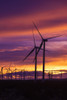 Silhouetted wind turbines at sunset, Mojave, California, USA Poster Print by Russ Bishop - Item # VARPDDUS05RBS1043