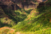 Waimea Canyon, Waimea Canyon State Park, Kauai, Hawaii, USA. Poster Print by Russ Bishop - Item # VARPDDUS12RBS0502