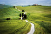 Italy, Tuscany, Val d'Orcia. Road to Terrapile farmhouse.  Poster Print by Jaynes Gallery - Item # VARPDDEU16BJY0319