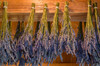 San Juan Island, Washington State, USA Lavender hung to dry Poster Print by Janet Horton (24 x 18) # US48JHO1273