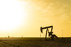 USA, Texas. Martin County, Pumpjack on cotton field at sunset Poster Print by Alison Jones - Item # VARPDDUS44AJN0009