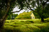 Iceland, turf-roofed Hof Church and surrounding grave mounds Poster Print by Mark Williford (24 x 18) # EU14MWI0020