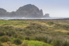 Portugal, Azores, Pico Island, Lajes do Pico. Harbor marshes Poster Print by Walter Bibikow - Item # VARPDDEU23WBI0921