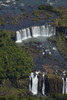 Argentinian side of Iguazu Falls, on Brazil and Argentina border Poster Print by David Wall - Item # VARPDDSA01DWA0011