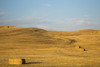 USA, Washington State, Palouse. Bales of straw in field. Poster Print by Deborah Winchester - Item # VARPDDUS48DWI0018