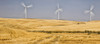 USA, Washington State, Palouse. Wind farm in the Palouse Poster Print by Deborah Winchester - Item # VARPDDUS48DWI0024