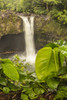 USA, Hawaii, Rainbow Falls. Waterfall and tropical landscape. Poster Print by Jaynes Gallery - Item # VARPDDUS12BJY0157
