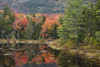 USA, New Hampshire, White Mountains. Autumn lake reflections. Poster Print by Jaynes Gallery - Item # VARPDDUS30BJY0028
