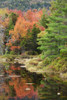 USA, New Hampshire, White Mountains. Autumn lake reflections. Poster Print by Jaynes Gallery - Item # VARPDDUS30BJY0029