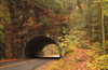 USA, Tennesse. Tunnel along the road to Cades Cove in the fall. Poster Print by Joanne Wells - Item # VARPDDUS43JWL0196
