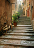 Italy, Cinque Terre, Monterosso. Bicycle and uphill stairway.  Poster Print by Jaynes Gallery - Item # VARPDDEU16BJY0313