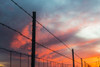 USA, California, Central Valley, Vernalis, off Route 132, sunset Poster Print by Alison Jones - Item # VARPDDUS05AJN0572