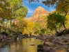 USA, Utah Zion National Park, Virgin River and The Watchman Poster Print by Jamie & Judy Wild (24 x 18) # US45JWI1097