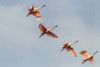 USA, Louisiana, Vermilion Parish. Roseate spoonbills in flight.  Poster Print by Jaynes Gallery - Item # VARPDDUS19BJY0161