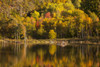 USA, Acadia National Park, Maine. Fall reflections at Bubble Pond. Poster Print by Joanne Wells - Item # VARPDDUS20JWL0153