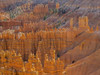 Utah, Bryce Canyon National Park. View of canyon with hoodoos Poster Print by Jamie & Judy Wild - Item # VARPDDUS45JWI1005