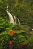 Waikani Falls, Hana Highway near Hana, East Maui, Hawaii, USA Poster Print by Stuart Westmorland - Item # VARPDDUS12SWR0638