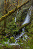 Merriman Falls in the Olympic National Forest, Washington State, USA Poster Print by Chuck Haney (18 x 24) # US48CHA0348