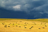 Canada, Manitoba, Holland. Square bales in field and storm clouds. Poster Print by Jaynes Gallery - Item # VARPDDCN03BJY0406 Canada, Manitoba, Holland. Square bales in field and storm clouds. Poster Print by Jaynes Gallery - Item # VARPDDCN03BJY0406