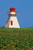 Canada, Prince Edward Island, Darnley. Lighthouse and potato crop. Poster Print by Jaynes Gallery - Item # VARPDDCN09BJY0041