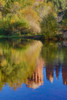 Sedona and the Red Rock Crossing with river reflecting the red rock Poster Print by Darrell Gulin - Item # VARPDDUS03DGU0183