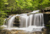 Burden Falls Shawnee National Forest. Saline County, Illinois Poster Print by Richard & Susan Day - Item # VARPDDUS14RDY2519