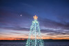 USA, Massachusetts, Cape Ann, Annisquam. Waterfront Christmas Tree Poster Print by Walter Bibikow - Item # VARPDDUS22WBI3011