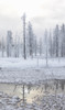 Wyoming, Yellowstone NP, near Midway Geyser Basin. Early morning frost Poster Print by Ellen Goff - Item # VARPDDUS51EGO0059