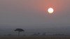 Africa, Tanzania, Ngorongoro Conservation Area. Savannah at sunset. Poster Print by Jaynes Gallery - Item # VARPDDAF45BJY0028