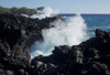 Huge waves crashing against lava rocks on coast of Big Island, Hawaii Poster Print by Gayle Harper - Item # VARPDDUS12GHA0004