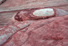 Close-up of Fire Wave Trail, Valley of Fire State Park, Nevada, USA. Poster Print by Michel Hersen - Item # VARPDDUS29MHE0130